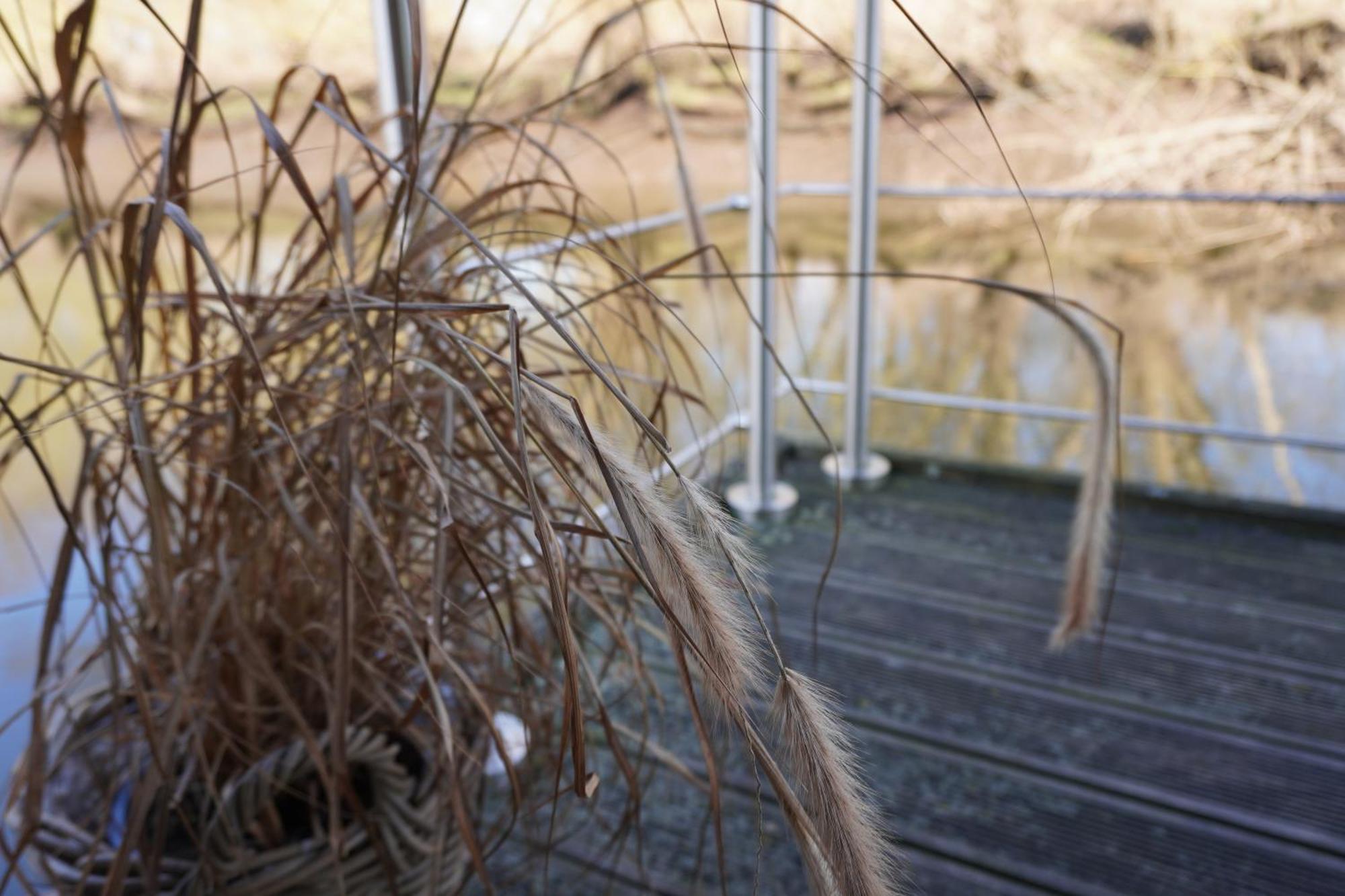 Hausboot Stoeckte Villa Winsen  Exterior foto